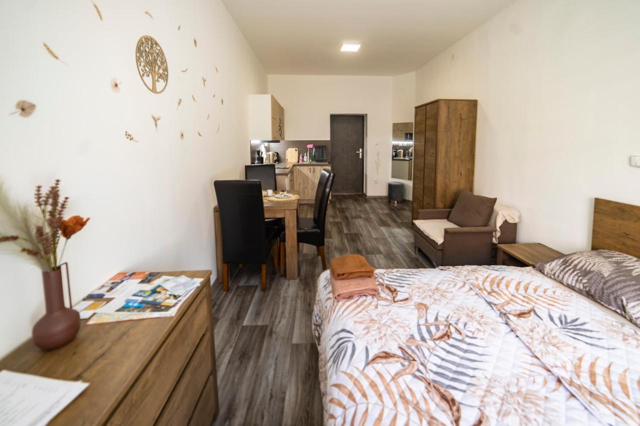 ז'ינדריצ'וב הרדק Apartmany Nezarka A Privatni Wellness מראה חיצוני תמונה