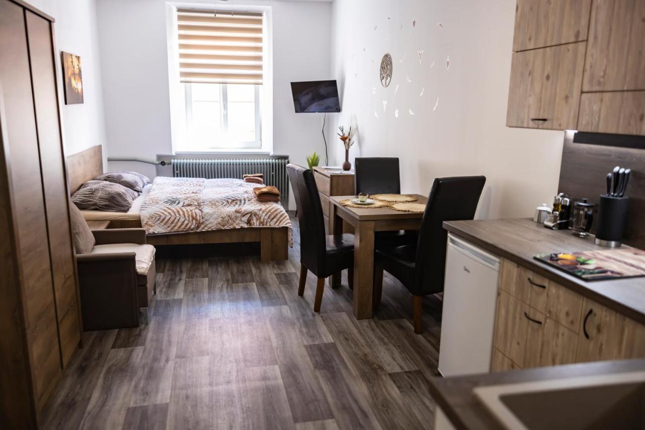 ז'ינדריצ'וב הרדק Apartmany Nezarka A Privatni Wellness מראה חיצוני תמונה